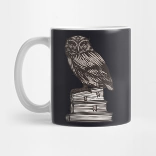 Books Owl Wisdom Reader Gifts Mug